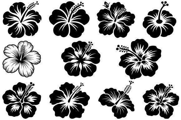 Hibiscus Floral Svg,Flower Bundle Review